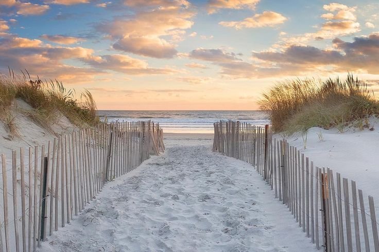 Neil Island Nature Escape